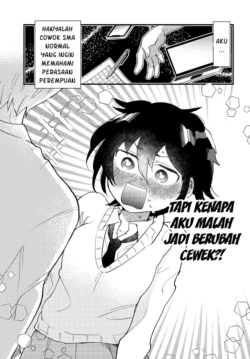 Halaman 3 dari 12