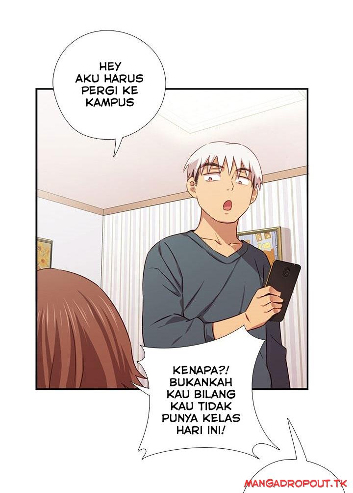 Halaman 33 dari 79