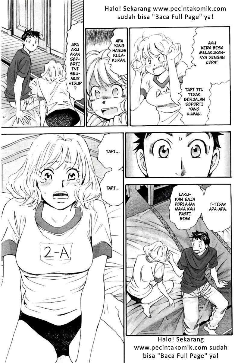 Halaman 8 dari 17