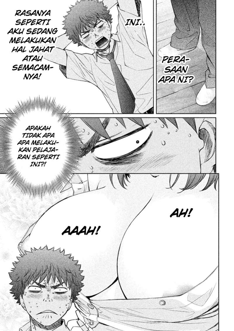 Halaman 4 dari 17