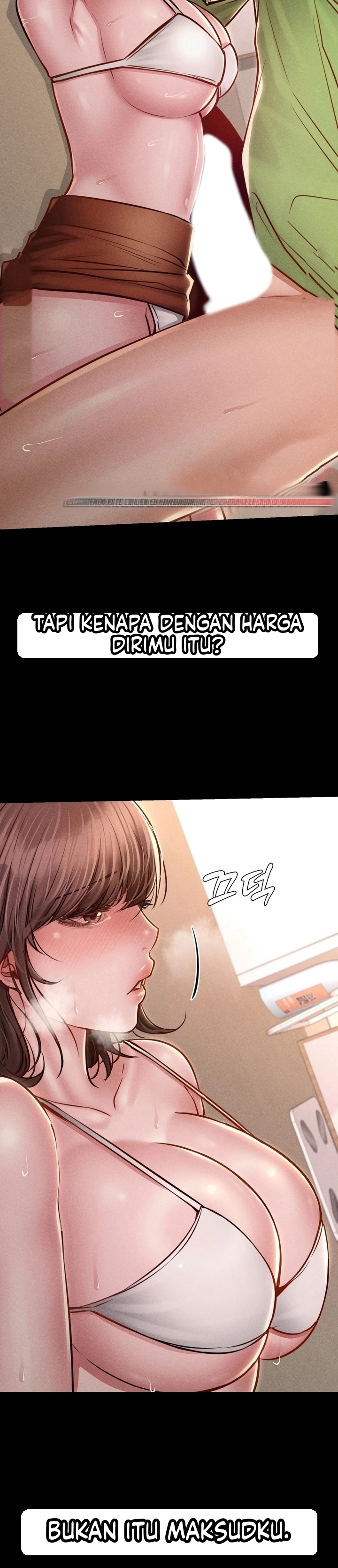 Halaman 17 dari 36
