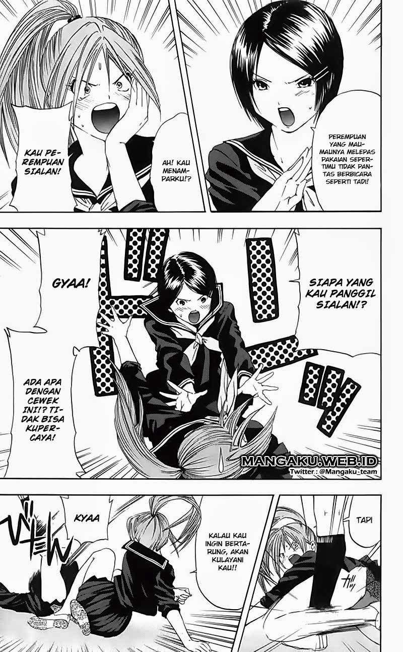 Halaman 5 dari 17