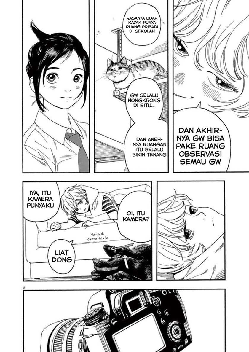 Halaman 8 dari 20
