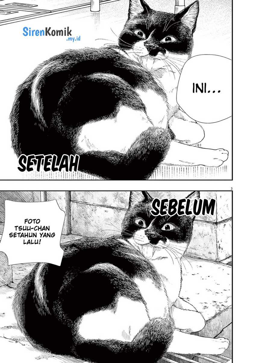Halaman 4 dari 22