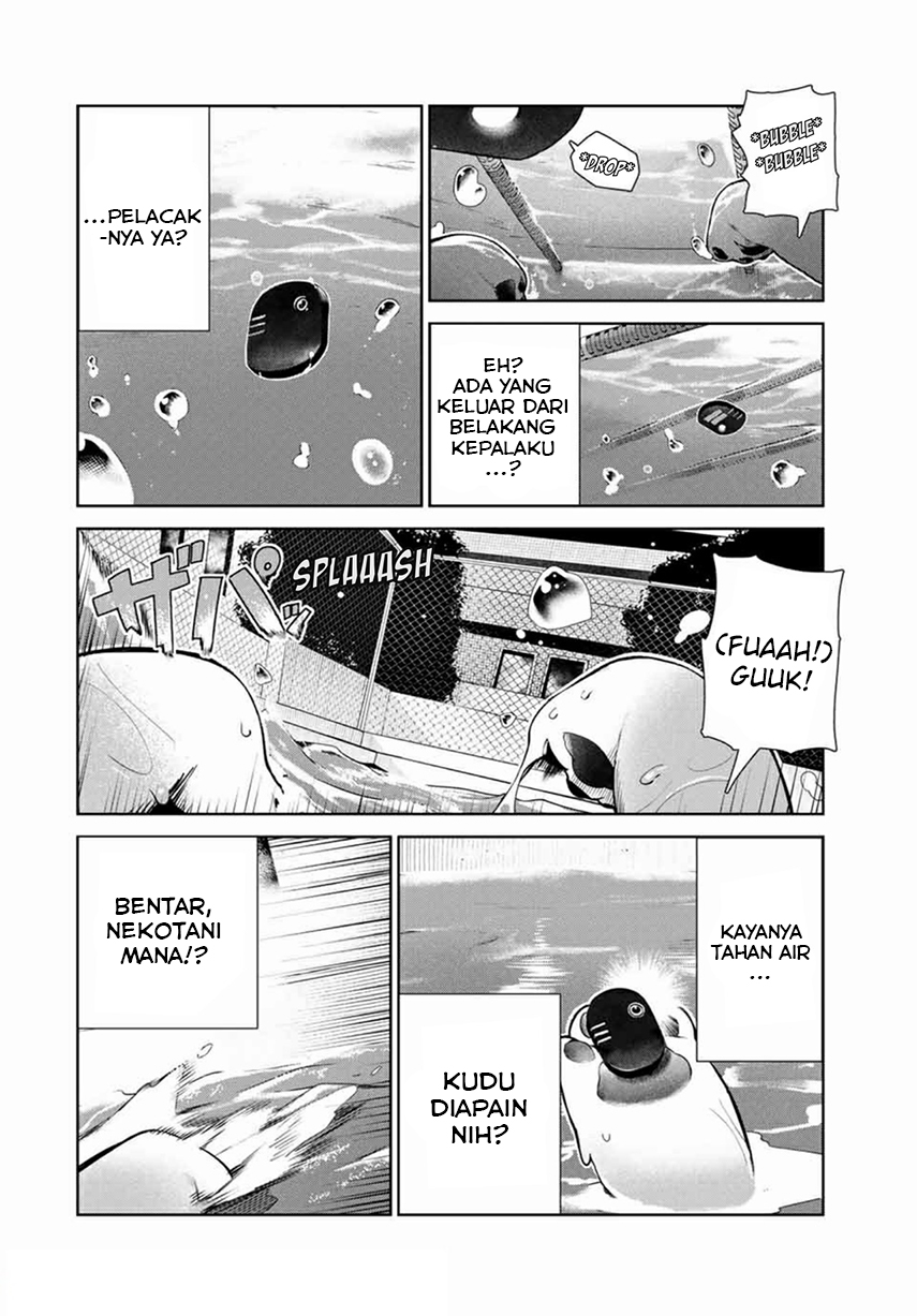 Halaman 8 dari 22