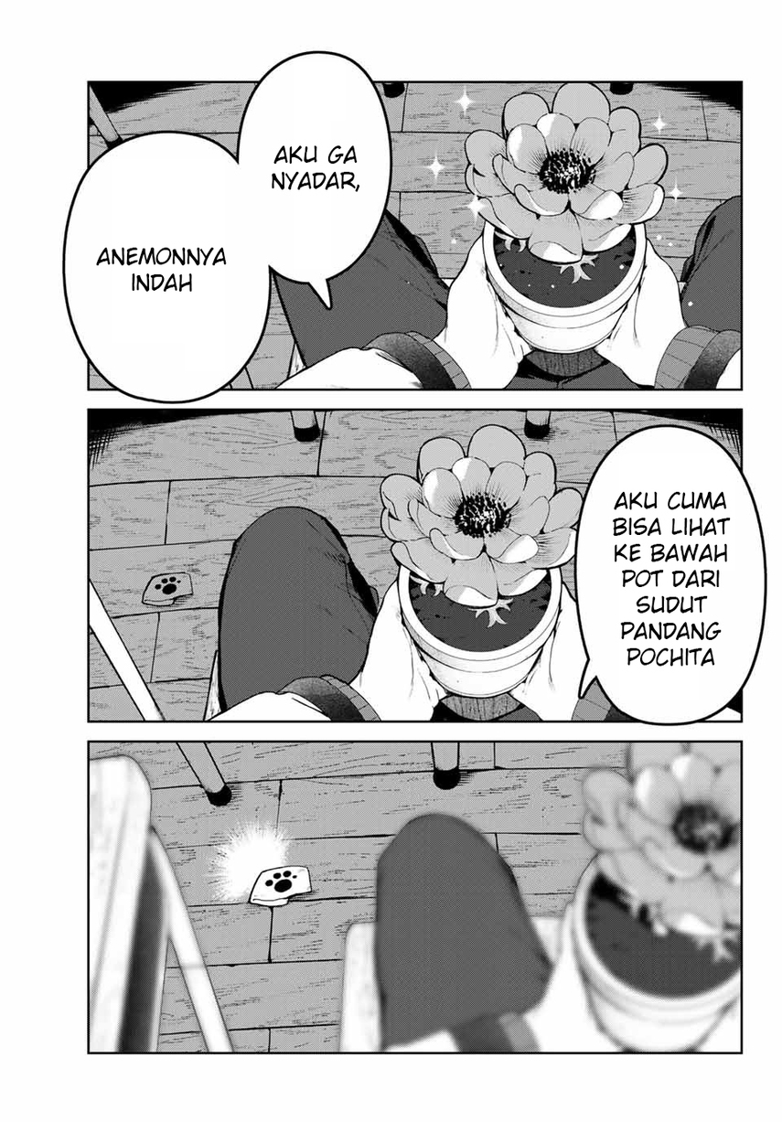 Halaman 13 dari 21