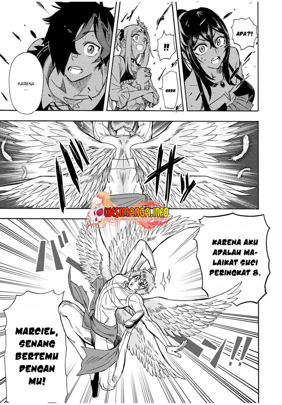 Halaman 11 dari 14