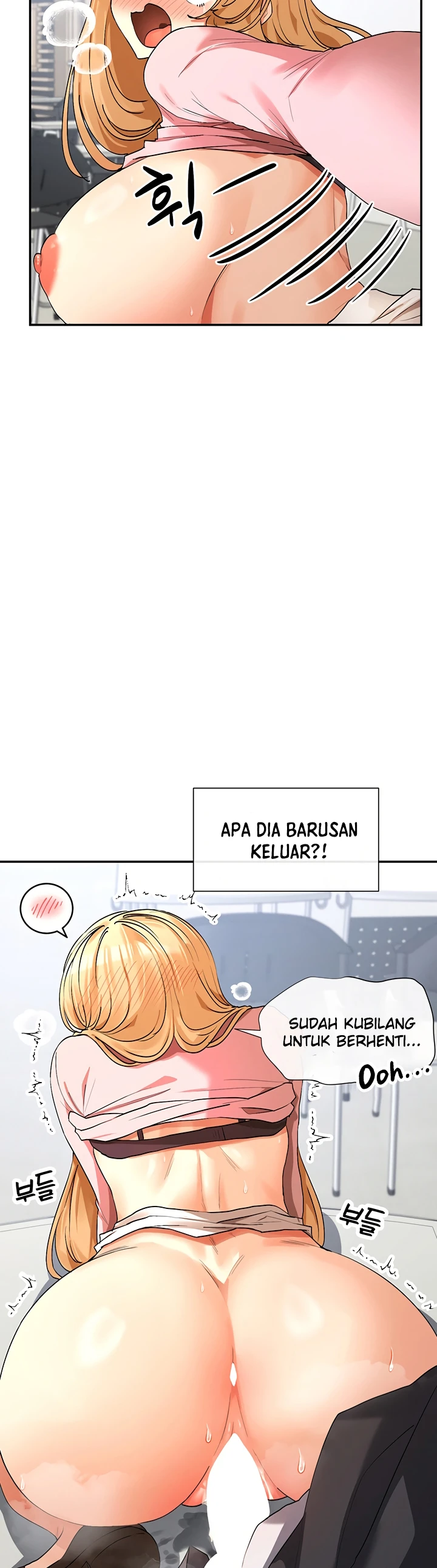 Halaman 44 dari 67