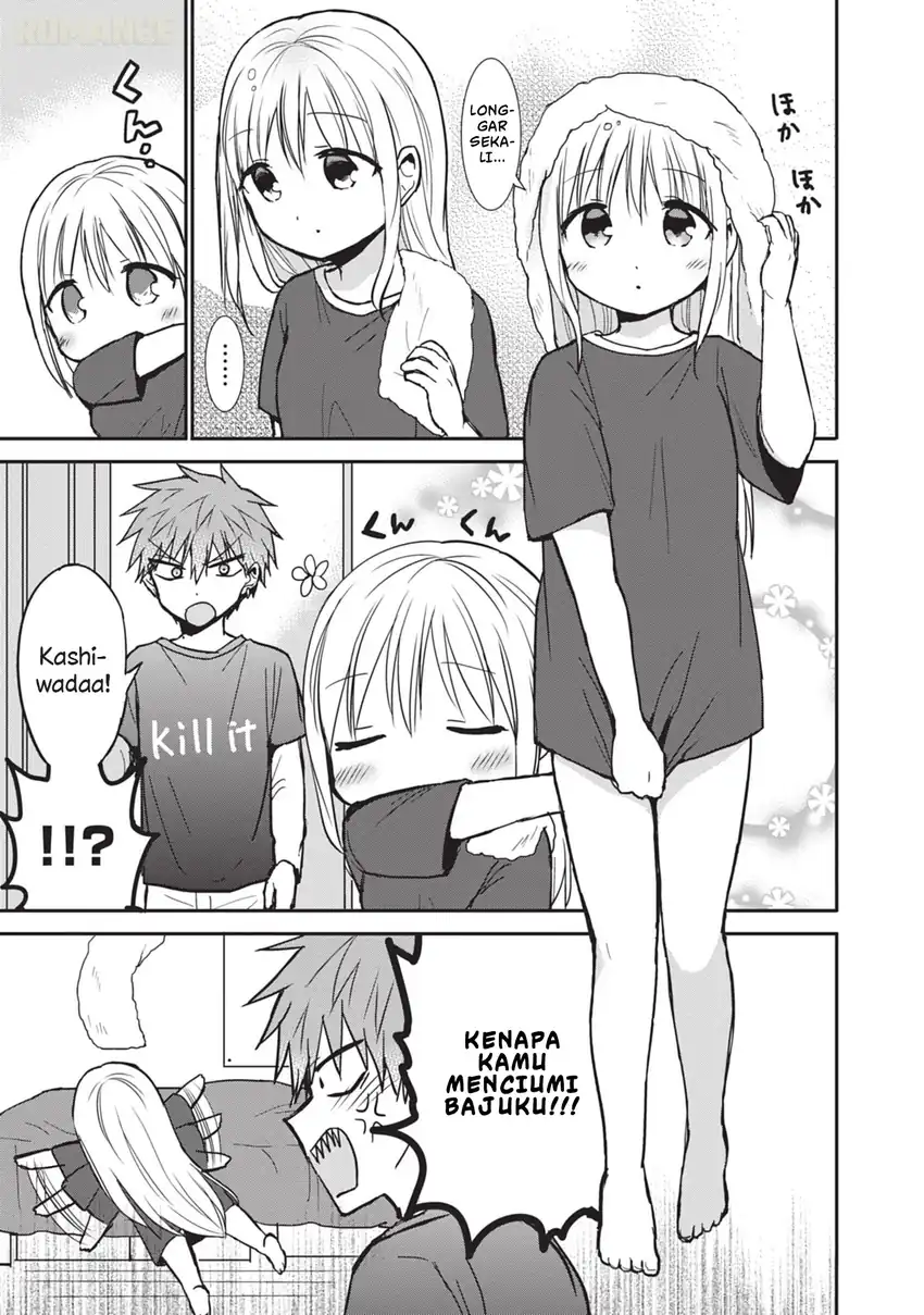Halaman 8 dari 13