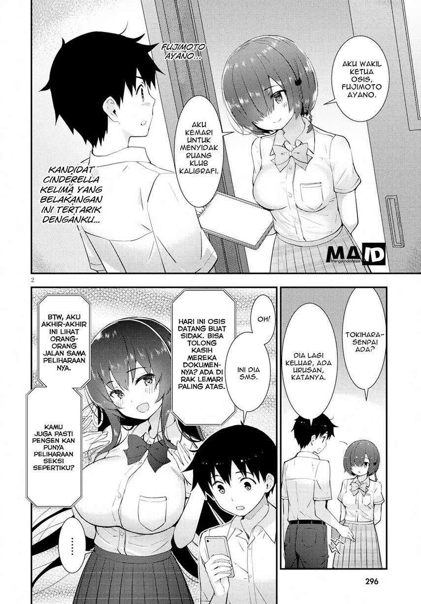 Halaman 5 dari 31