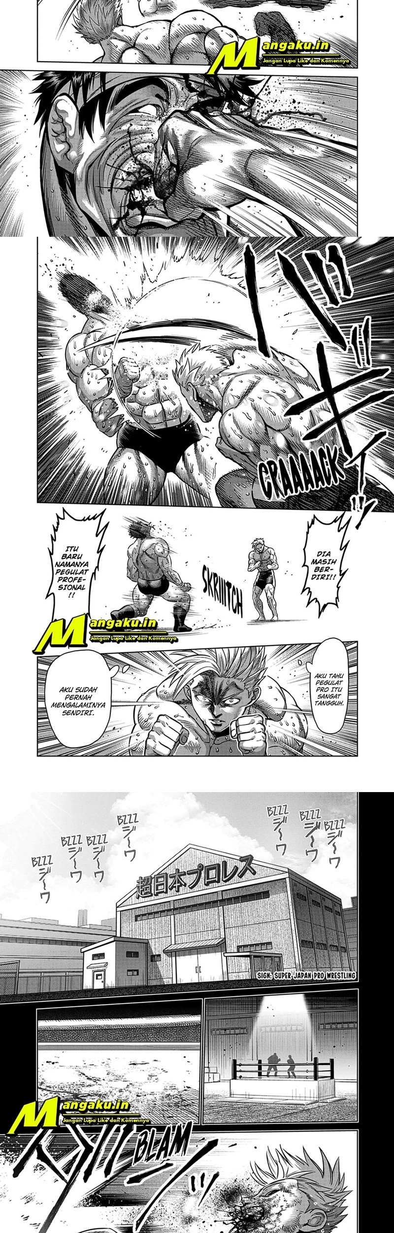 Halaman 5 dari 13