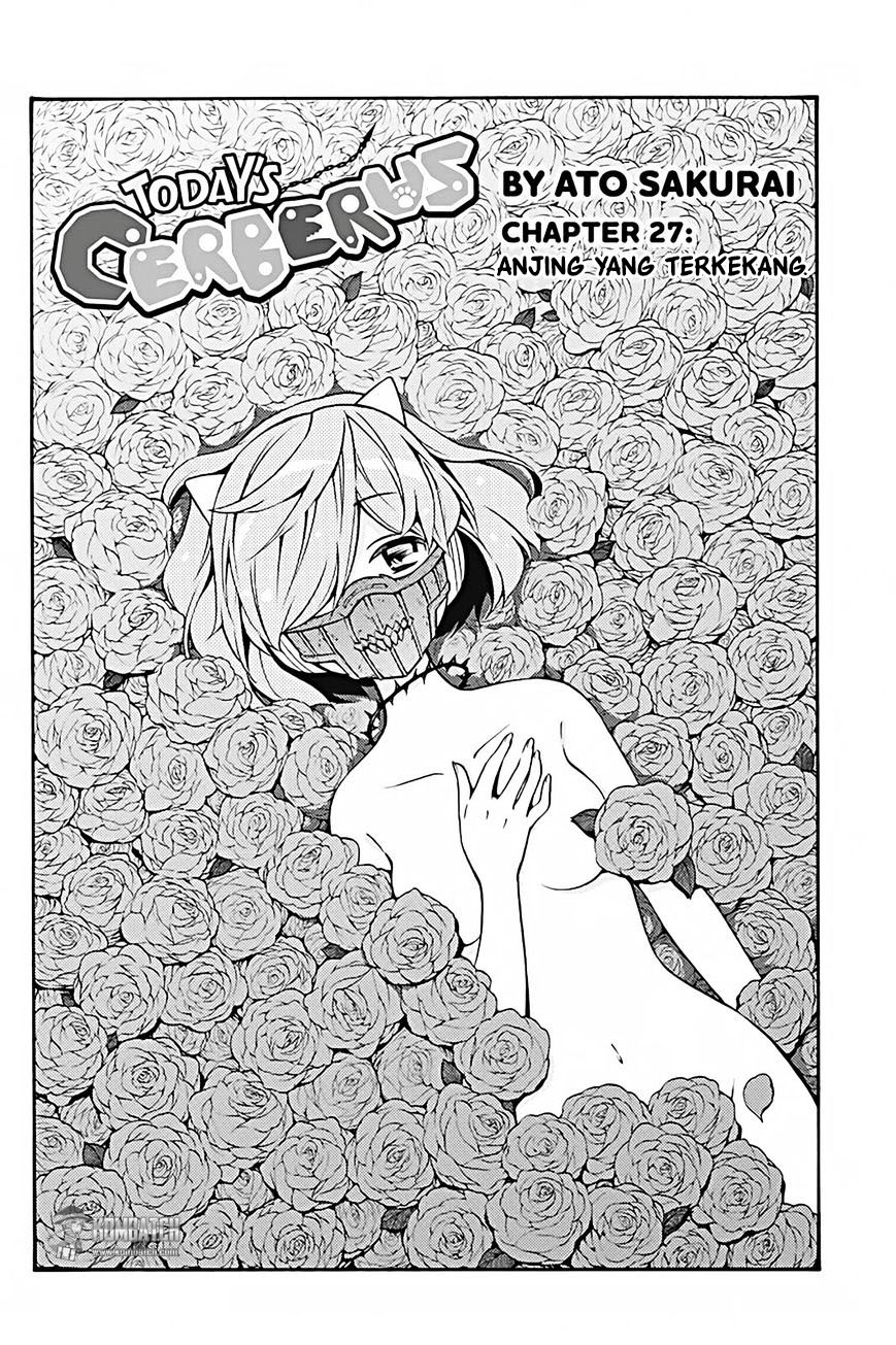Halaman 6 dari 37