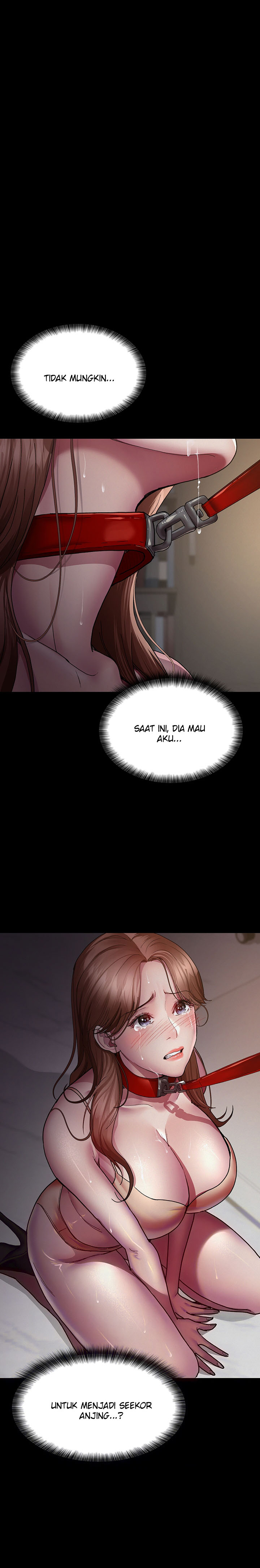 Halaman 3 dari 24