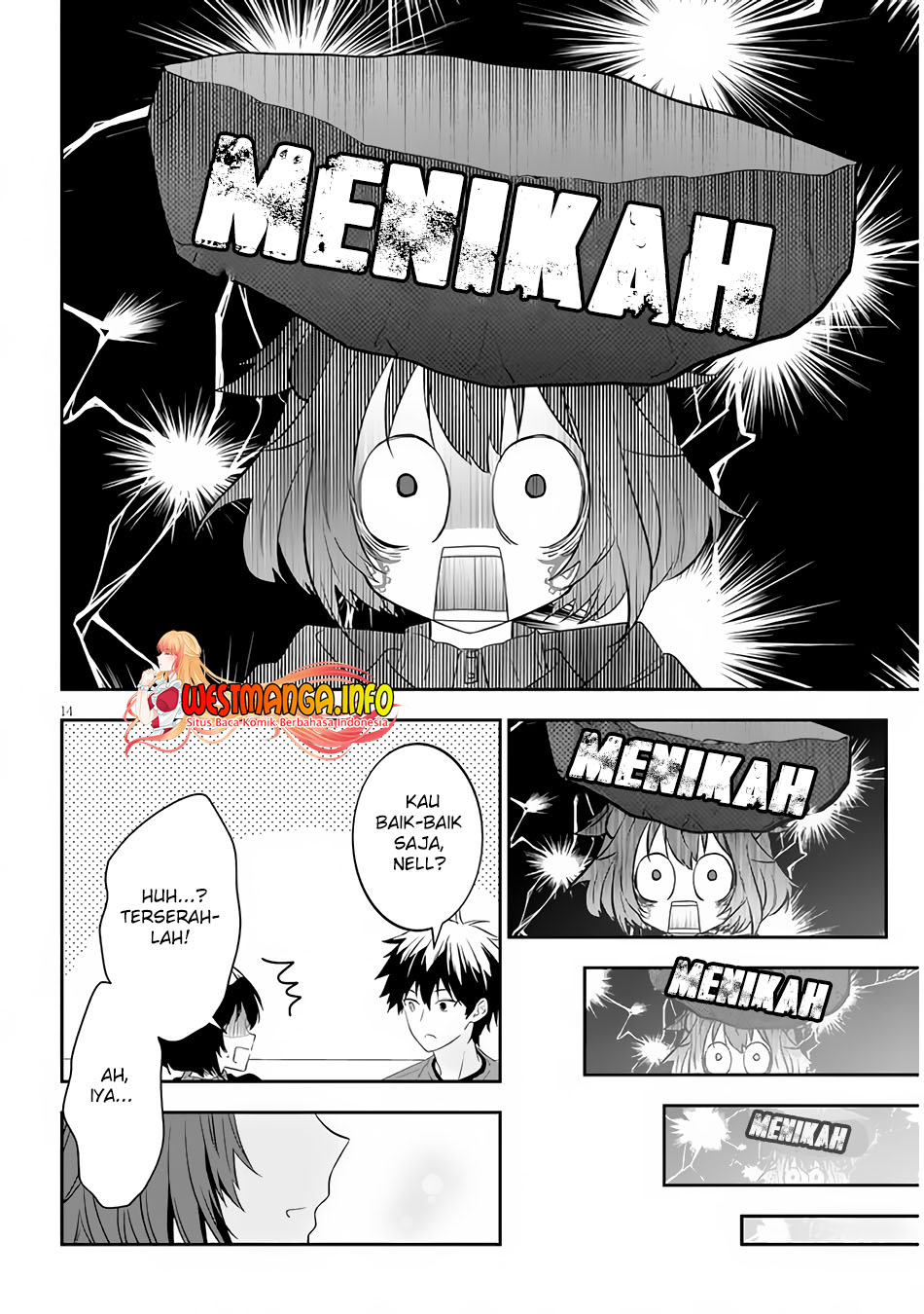 Halaman 5 dari 14