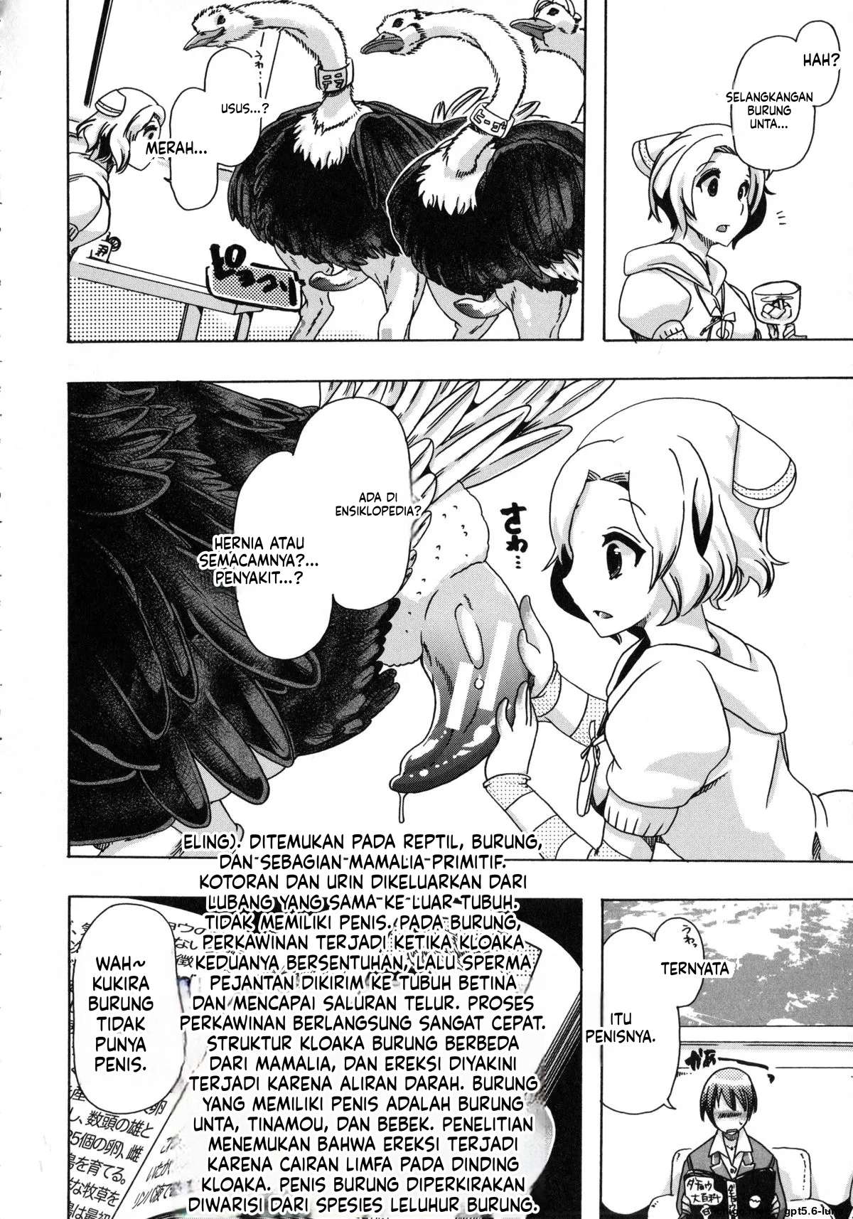 Halaman 8 dari 23