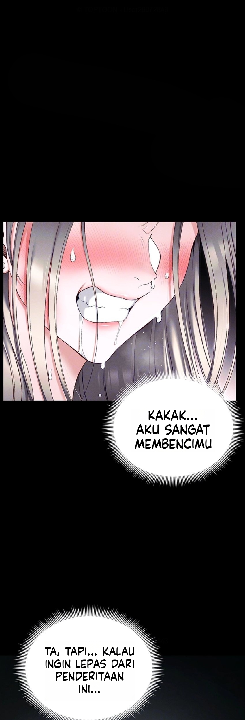 Halaman 4 dari 43