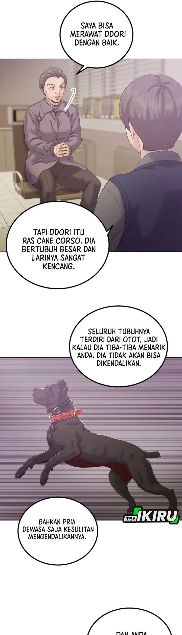 Halaman 13 dari 54