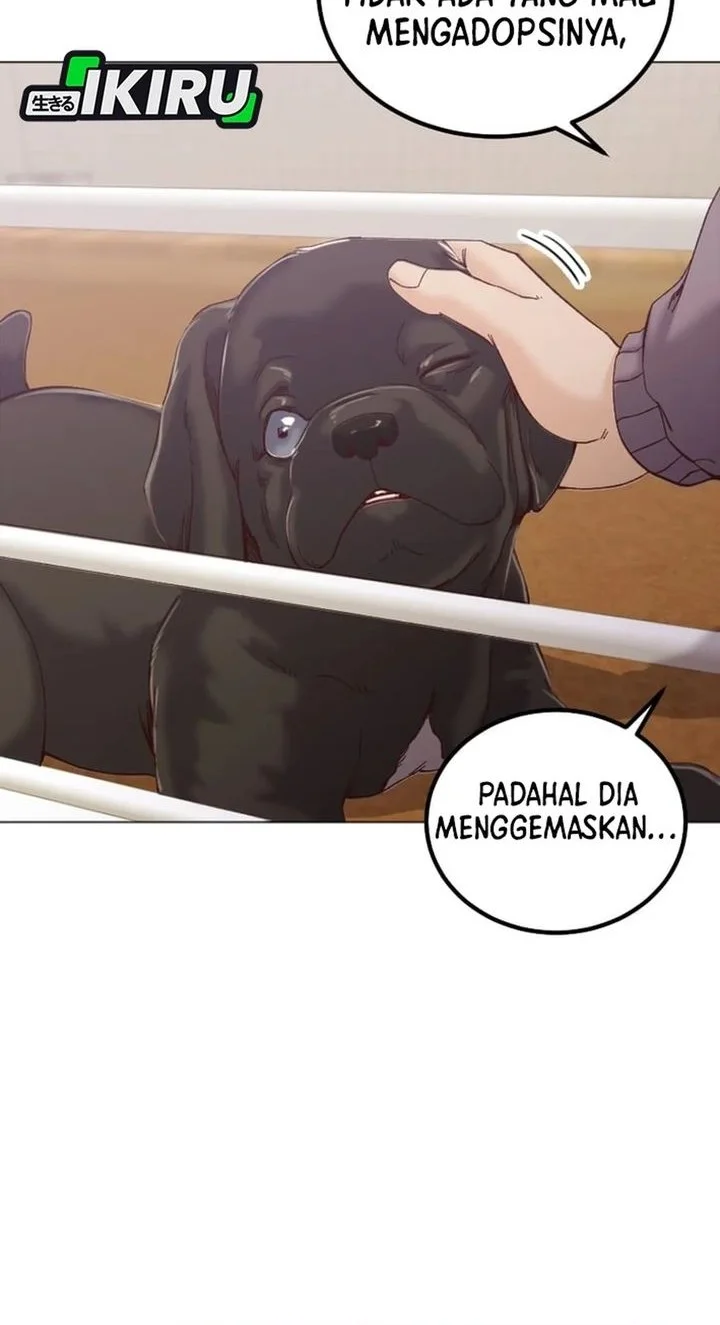 Halaman 4 dari 54