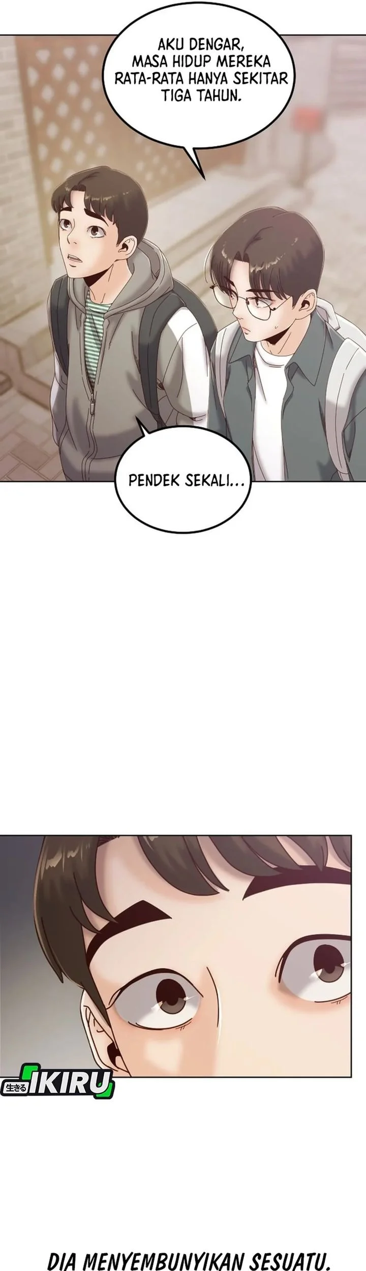 Halaman 13 dari 46