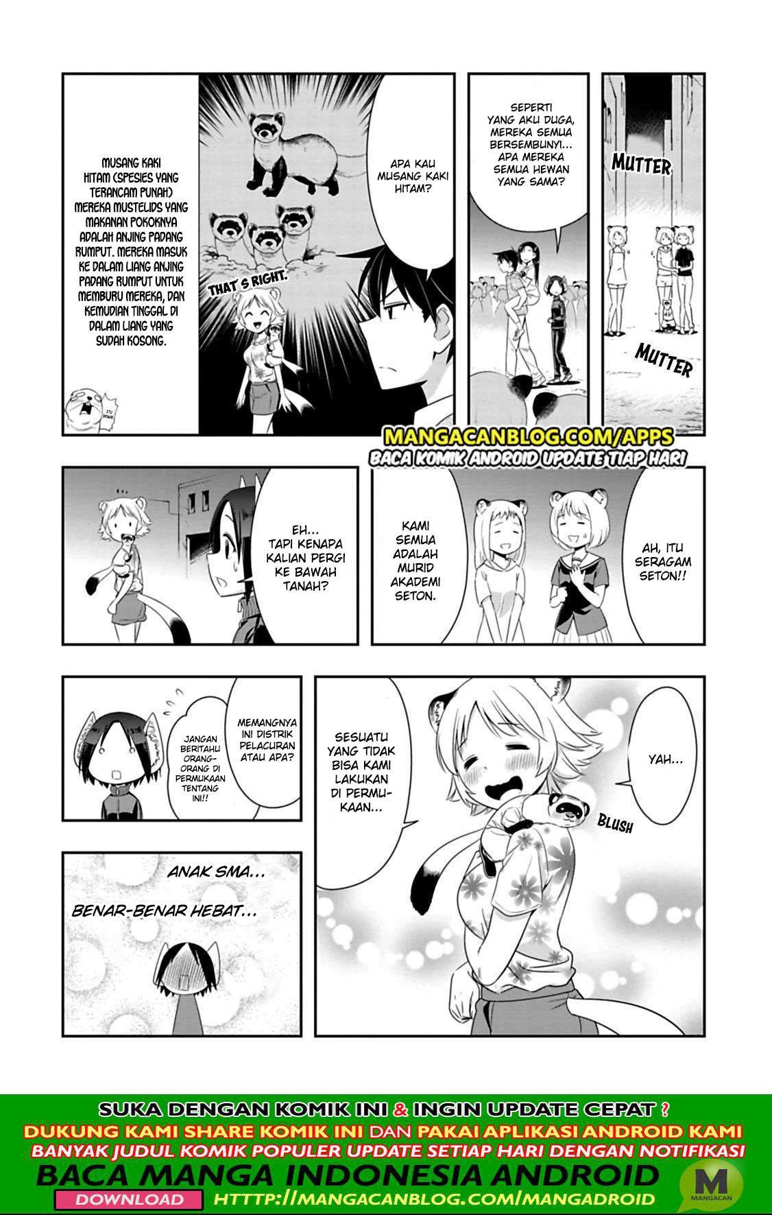 Halaman 8 dari 13