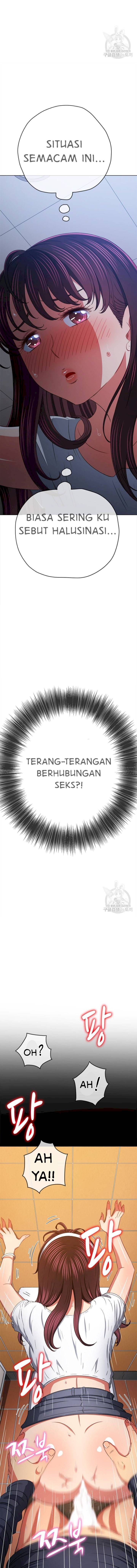 Halaman 17 dari 22