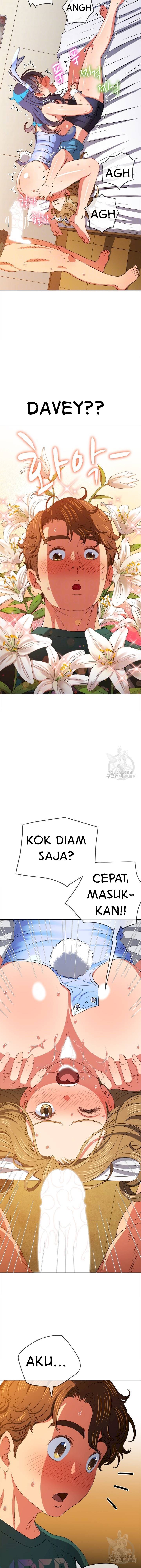 Halaman 6 dari 17