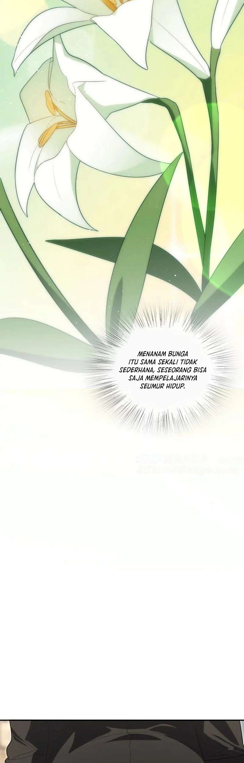 Halaman 17 dari 31