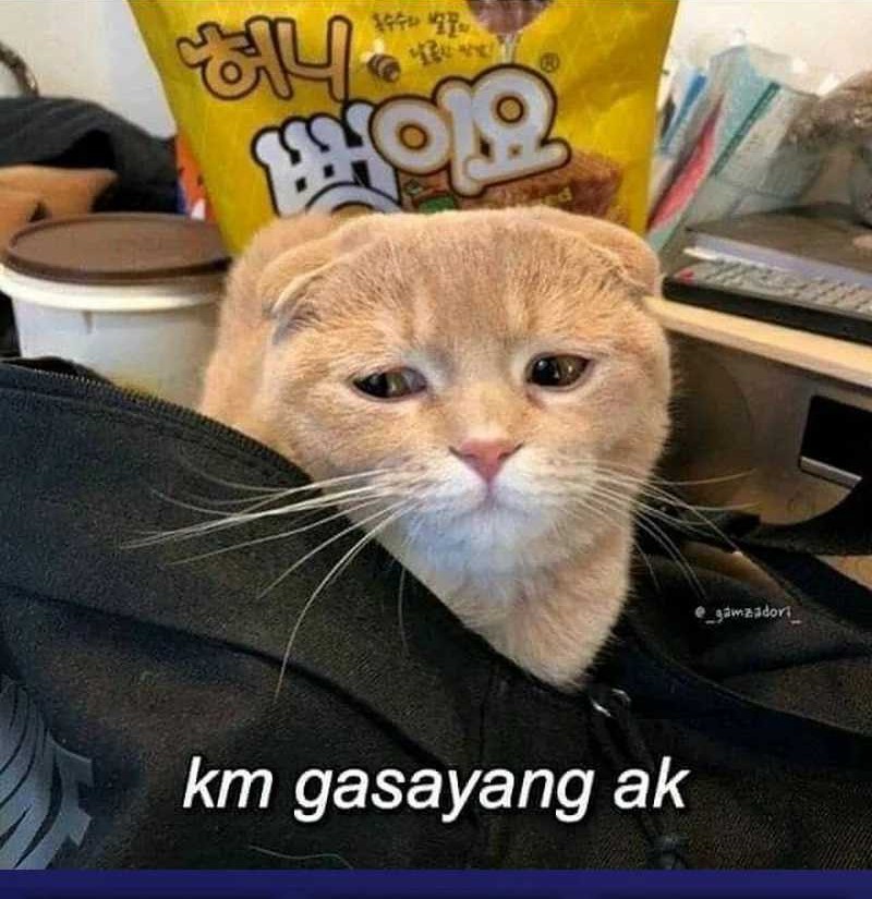 Halaman 47 dari 48