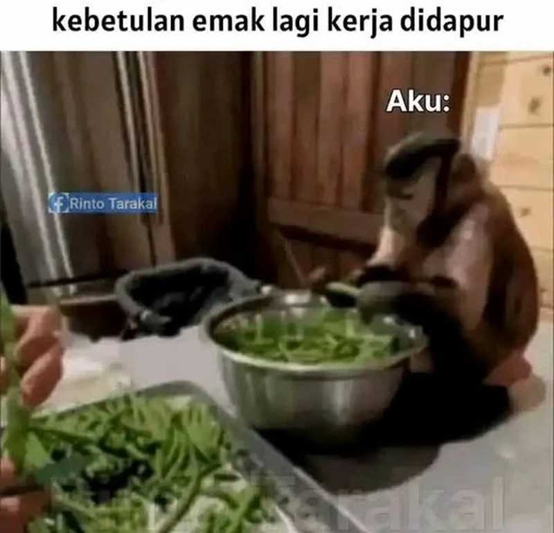 Halaman 50 dari 50
