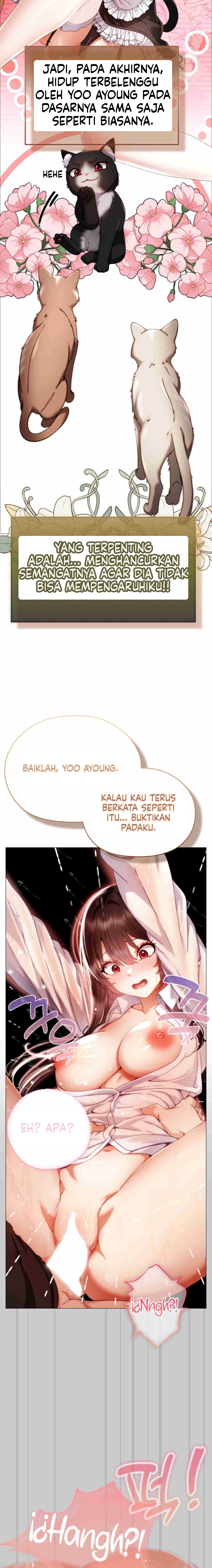 Halaman 11 dari 24