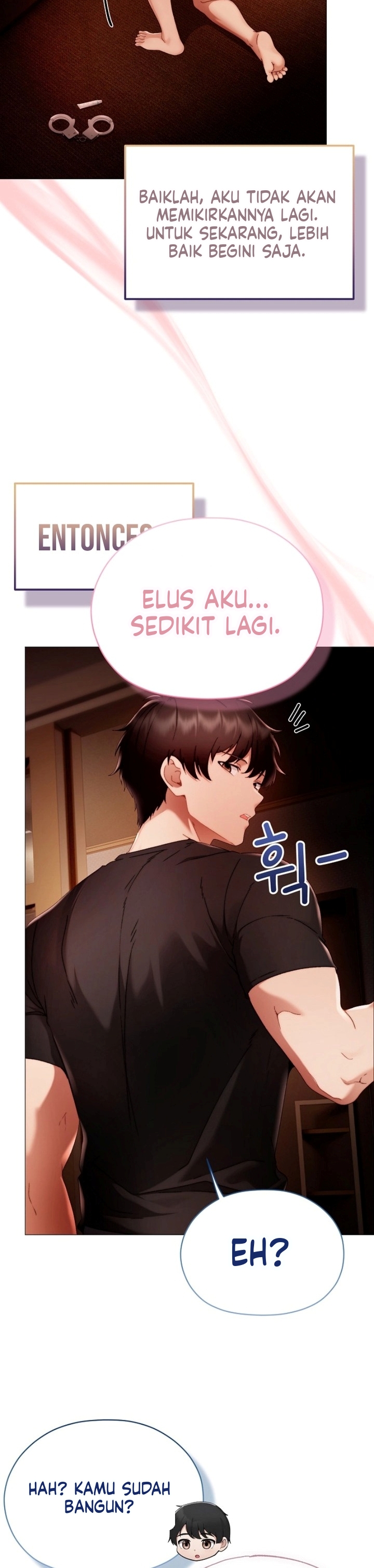Halaman 17 dari 43