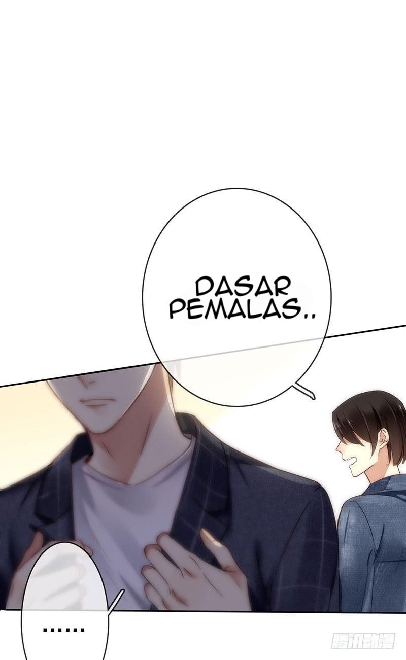 Halaman 17 dari 51