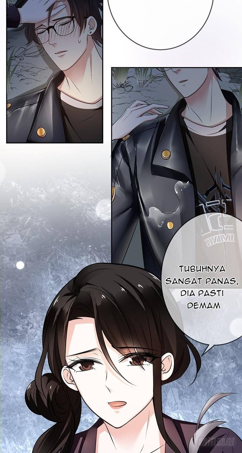 Halaman 5 dari 31