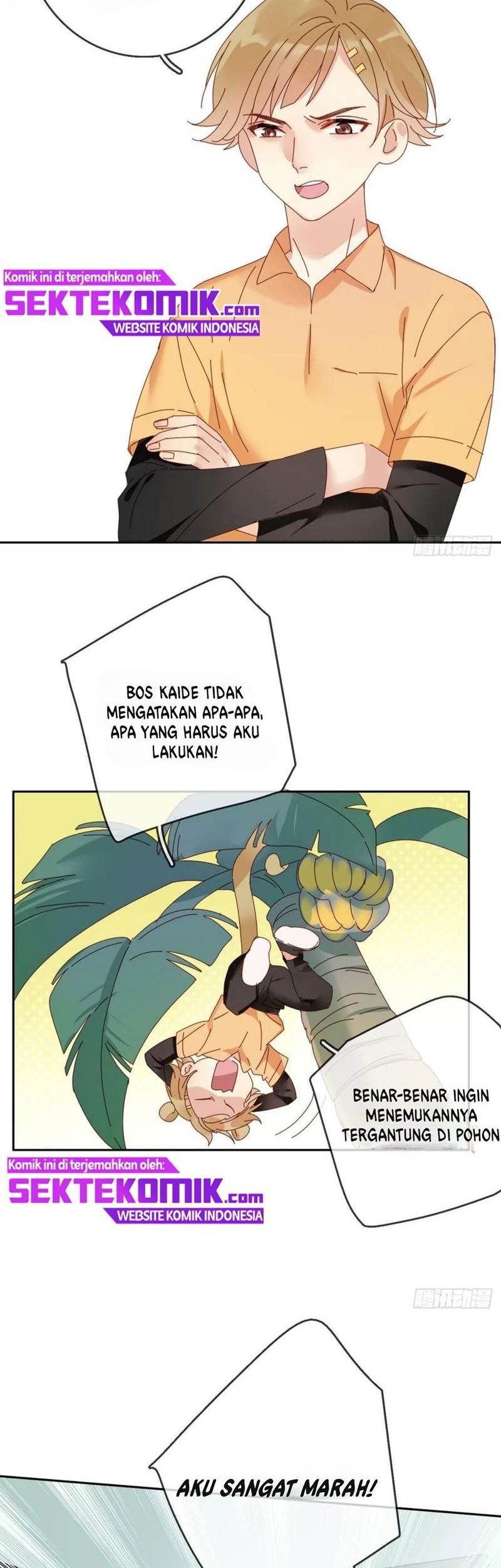 Halaman 15 dari 24