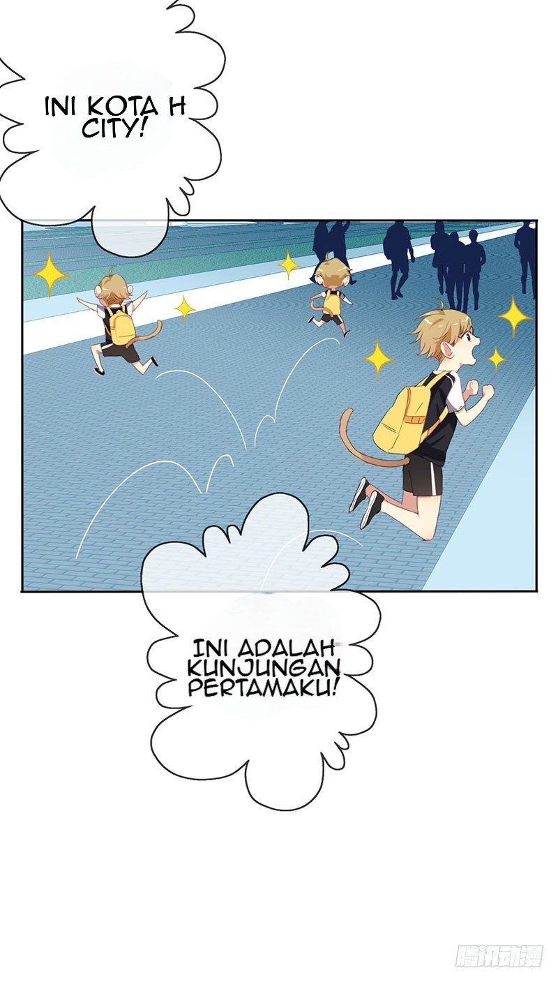 Halaman 19 dari 41