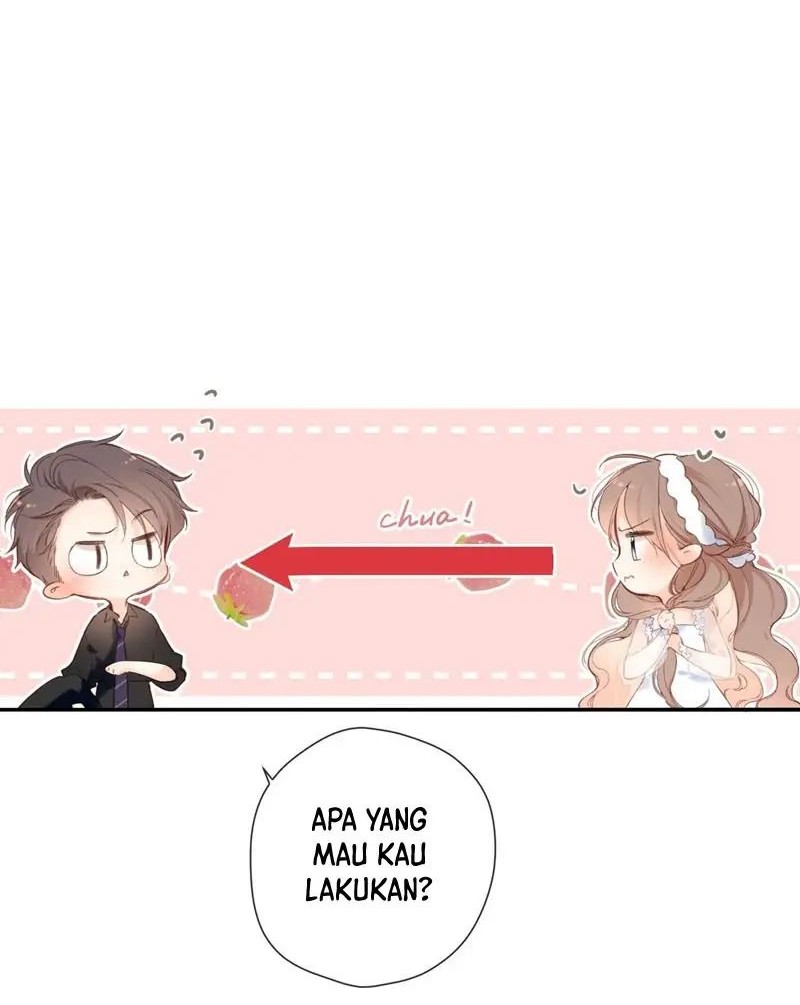 Halaman 6 dari 43