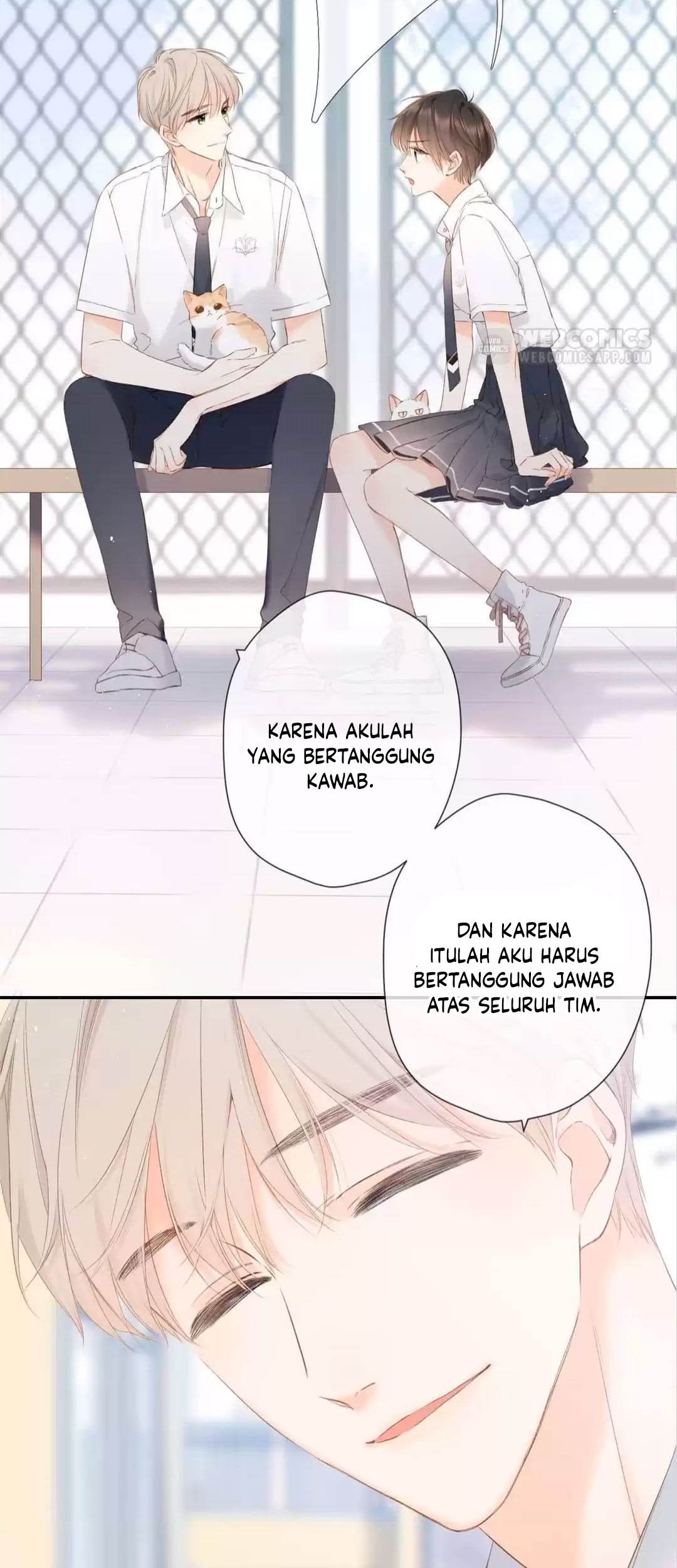 Halaman 13 dari 53