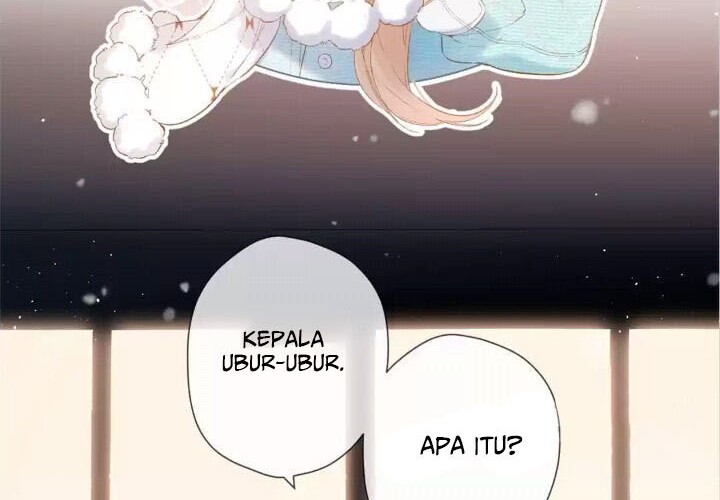 Halaman 5 dari 33