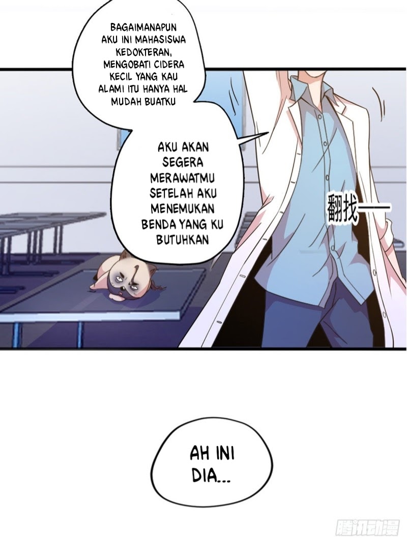 Halaman 5 dari 34