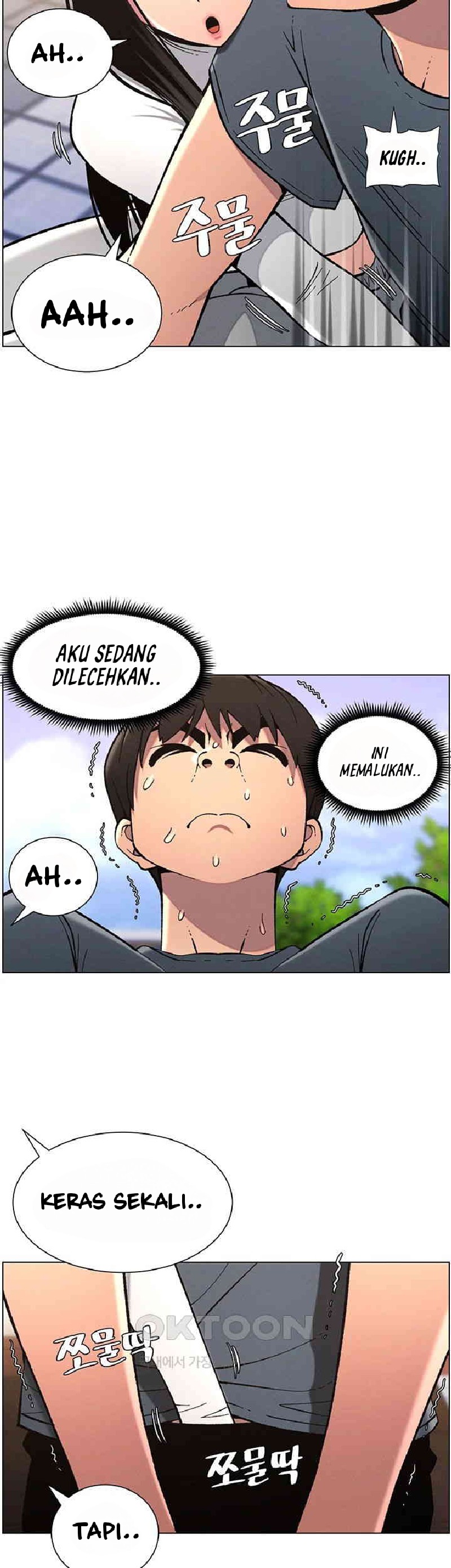 Halaman 17 dari 39