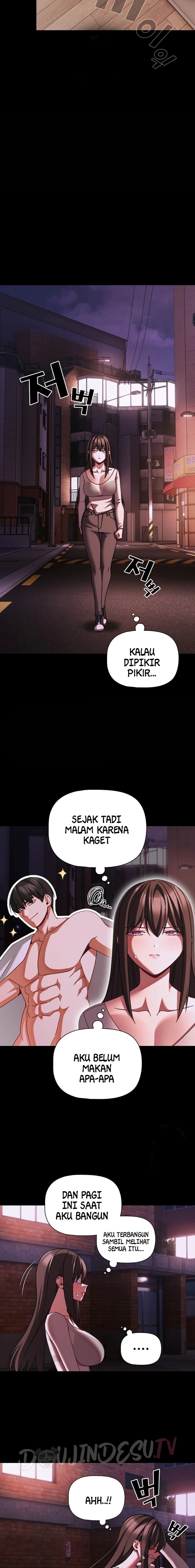 Halaman 11 dari 22