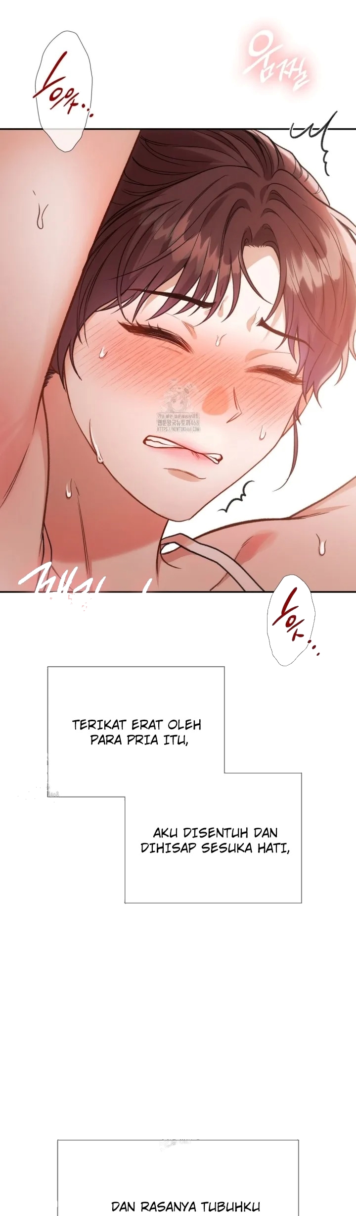 Halaman 4 dari 16