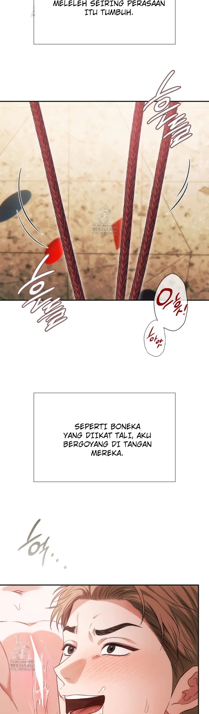 Halaman 5 dari 16
