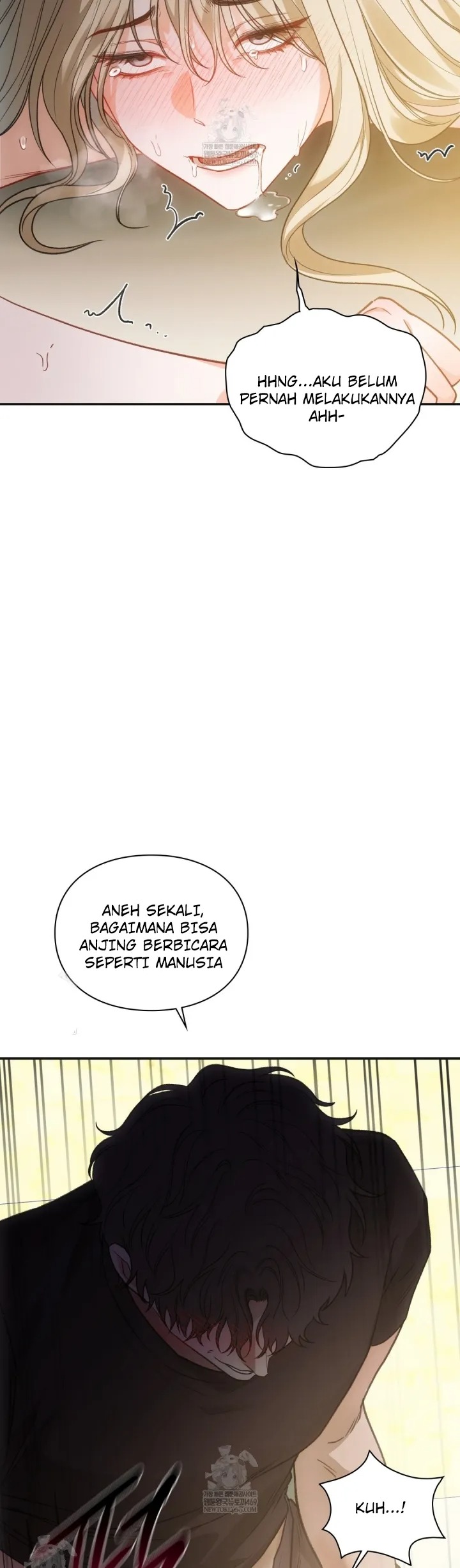 Halaman 4 dari 23