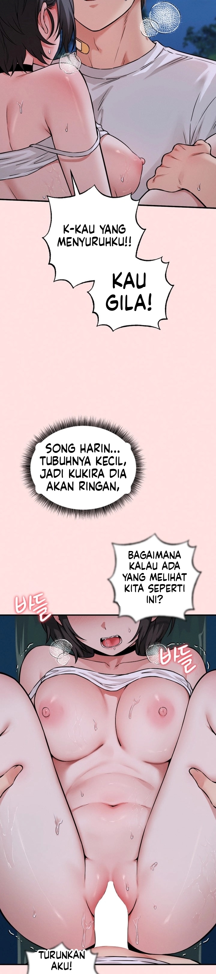 Halaman 17 dari 33