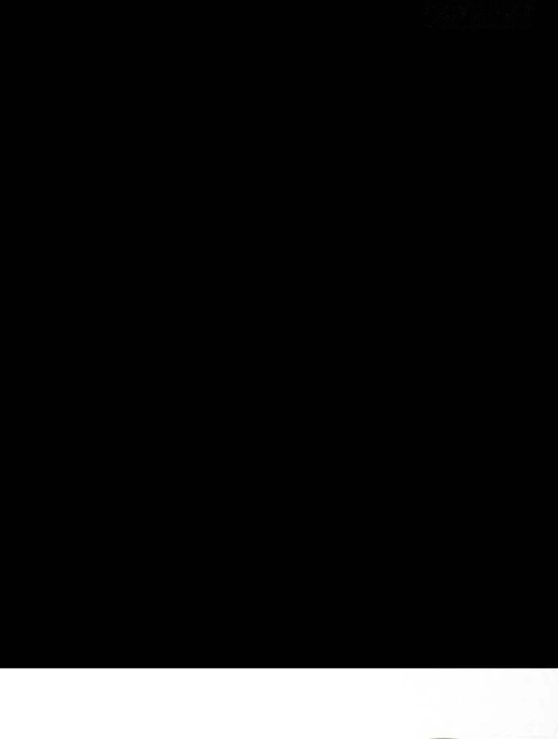 Halaman 165 dari 209