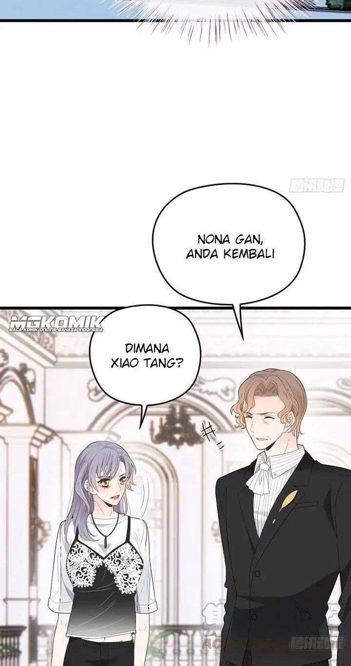 Halaman 4 dari 29