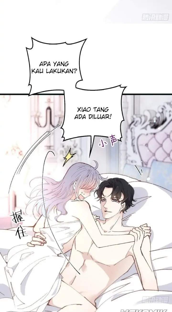Halaman 20 dari 30