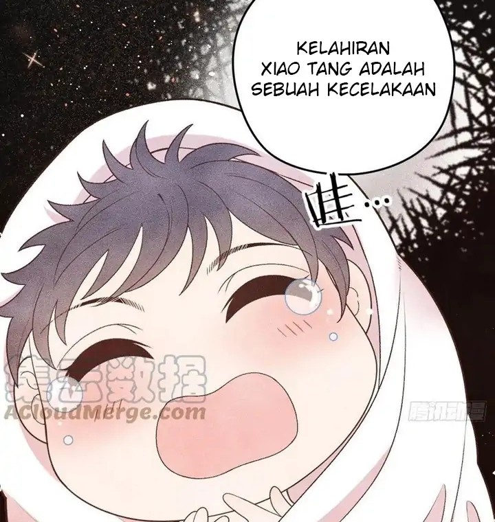 Halaman 8 dari 34