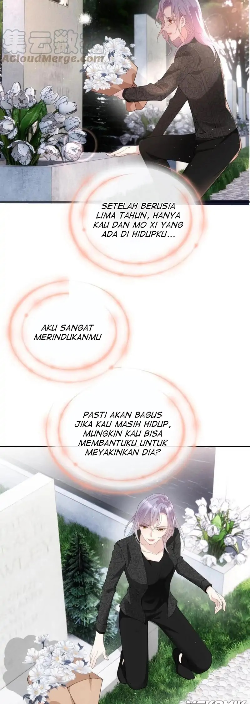 Halaman 24 dari 25